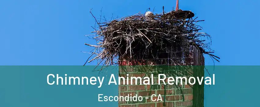 Chimney Animal Removal Escondido - CA