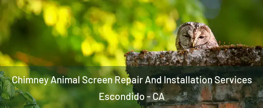 Chimney Animal Screen Repair And Installation Services Escondido - CA